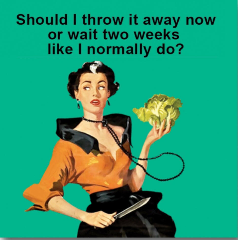 Should I Throw It Away Now Or Wait Two Weeks Like I Normally Do? On a 2.5” Square Metal Refrigerator Magnet..