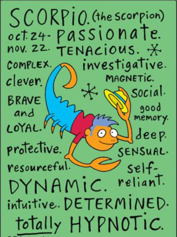Funny Scorpio Zodiac Sign Oct 24-Nov 22. On a 2.5”x 3.5” Metal Refrigerator Magnet.