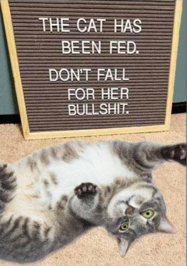 The Cat Has Been Fed. Don’t Fall For Her Bullshit. All On A 2”x3” Metal Refrigerator Magnet. Quality Glossy Finish With Strong Holding Power..