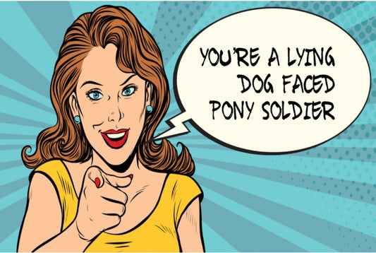 You’re A Lying Dog Faced Pony Soldier. All On a 2”x3” Metal Refrigerator Magnet.A Funny Magnet For Him or Her.