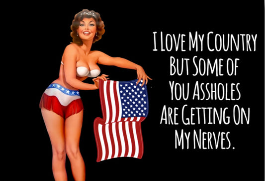 I Love My Country But Some Of You Assholes Are Getting On My Nerves.All On a 2”x3” Metal Refrigerator Magnet.