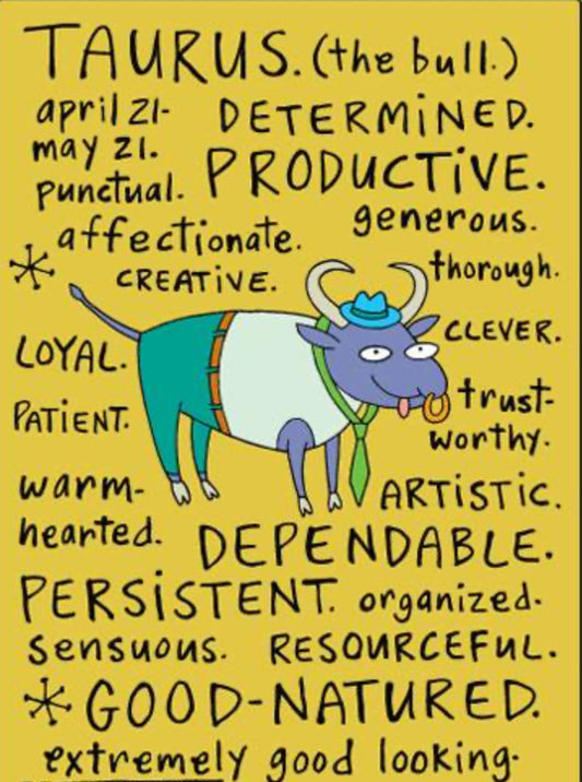 Funny Taurus Zodiac Sign Apr 21-May 21. On a 2.5”x 3.5” Metal Refrigerator Magnet.