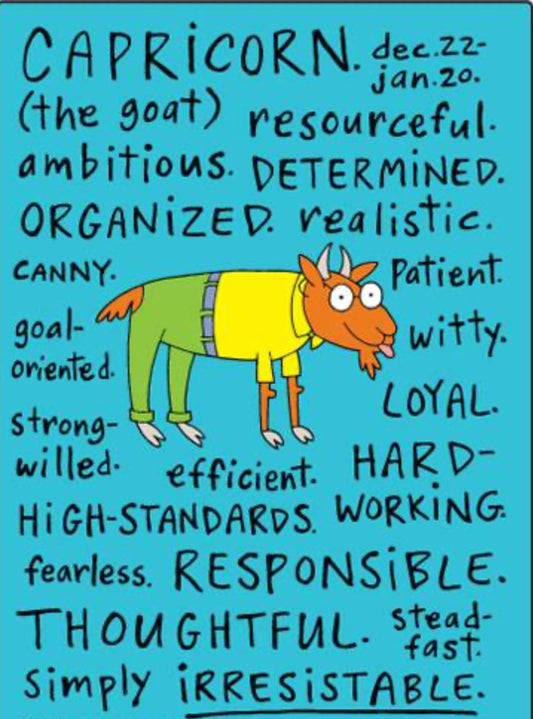 Funny Capricorn Zodiac Sign Dec 22-Jan 20.On a 2.5”x 3.5” Metal Refrigerator Magnet.