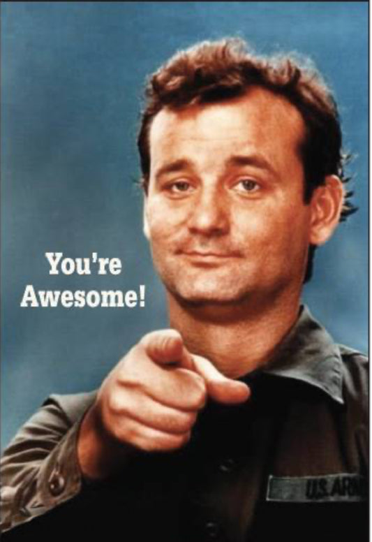 You’re Awesome! All On A 2”x3” Metal Refrigerator Magnet. Quality Glossy Finish With Strong Holding Power.