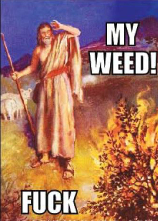 My Weed! Fuck All On A 2”x3” Metal Refrigerator Magnet. Quality Glossy Finish With Strong Holding Power.