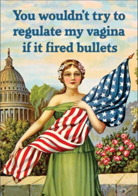 You Wouldn’t Try To Regulate My Vagina If It Fired Bullets. All On a 2”x3” Metal Refrigerator Magnet.