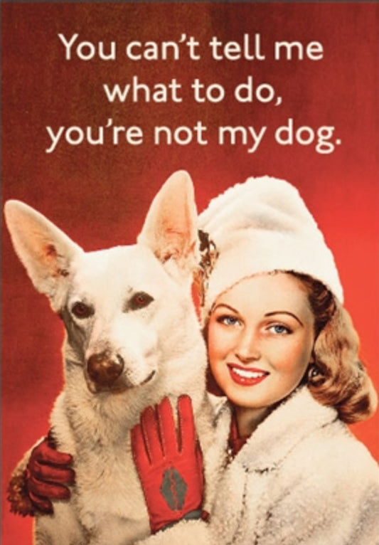You Can’t Tell Me What To Do You’re Not My Dog. All On a 2”x3” Metal Refrigerator Magnet.