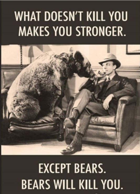 What Doesn’t Kill You Makes You Stronger.Except Bears.Bears Will Kill You. All On a 2”x3” Metal Refrigerator Magnet.