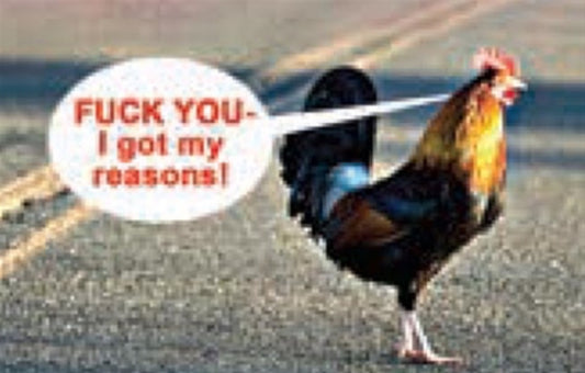 F*** U I’ve Got My Reasons. All On a 2”x3” Metal Refrigerator Magnet. Quality Glossy Finish With Strong Holding Power.