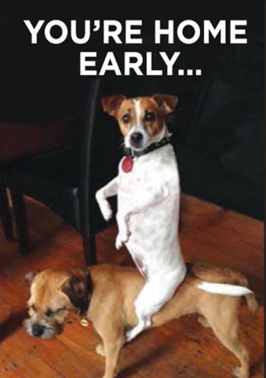 You’re Home Early. All On a 2”x3” Metal Refrigerator Magnet. Quality Glossy Finish With Strong Holding Power.