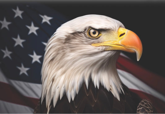 America’s 250th Anniversary,Bald Eagle and the American Flag. On a 2”x3” Metal Refrigerator Magnet.