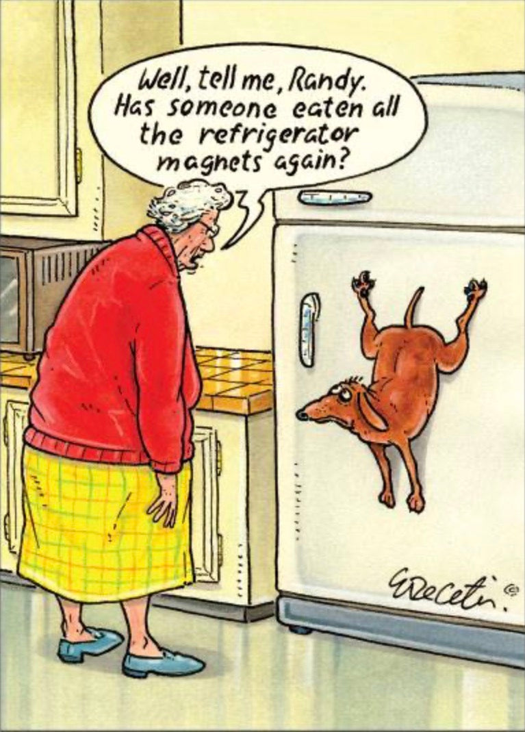 Has Someone Eaten All The Refrigerator Magnets Again? All on a 3.5” x 2.5” Metal Magnet