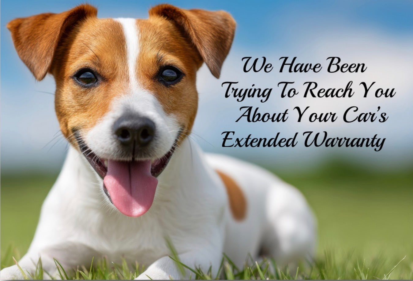 We Have Been Trying To Reach You About Your Car’s Extended Warranty.On a 2”x3” Metal Refrigerator Magnet..